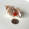 Tangerine Sea Glass Pendant with Necklace - Image 4