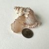 Pink Sea Glass Wired Wrapped Pendant with Necklace - Image 2